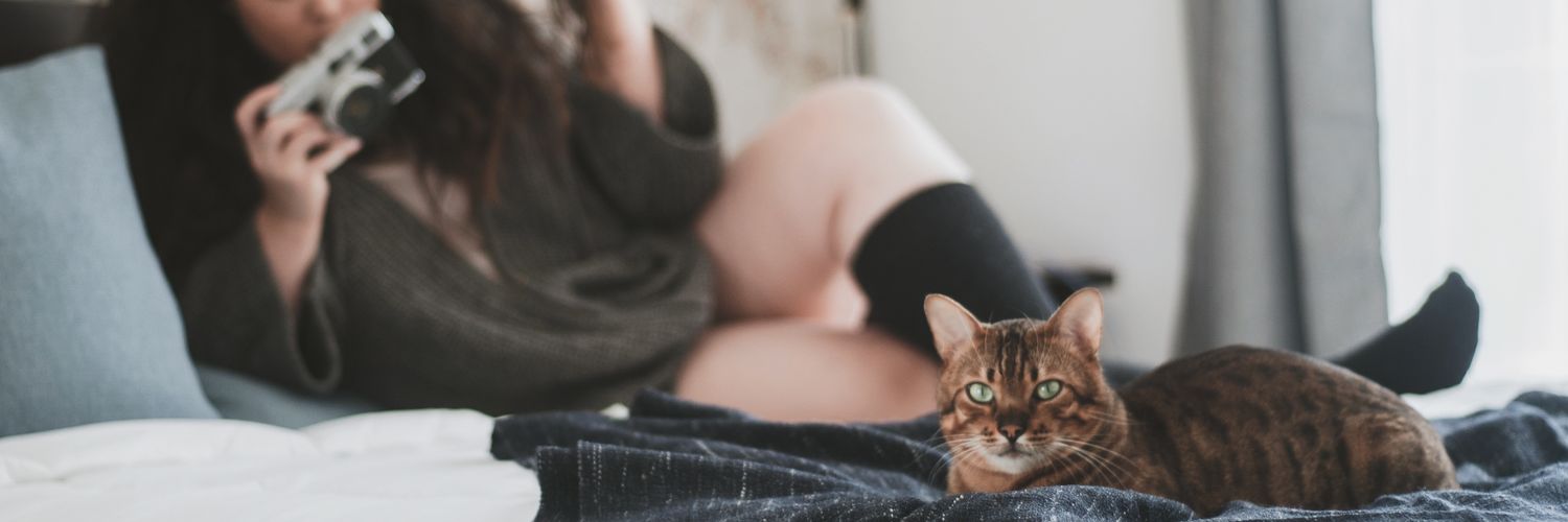 Meowlissaaa's profile banner image