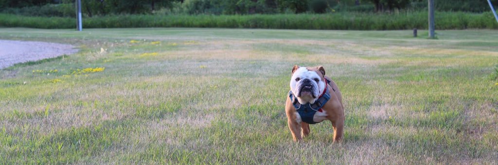 Kennedy Klein banner