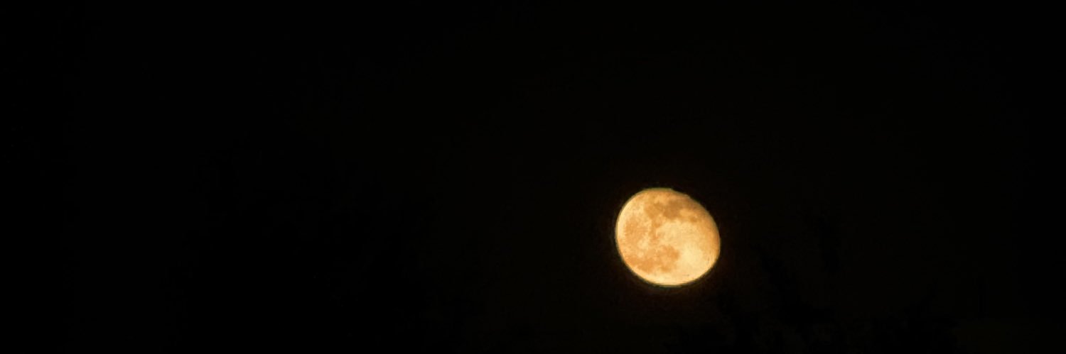 rvmxox's profile banner image