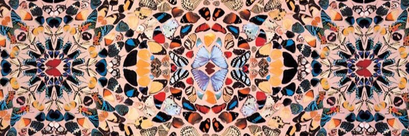 StevenMcCormac1's profile banner image