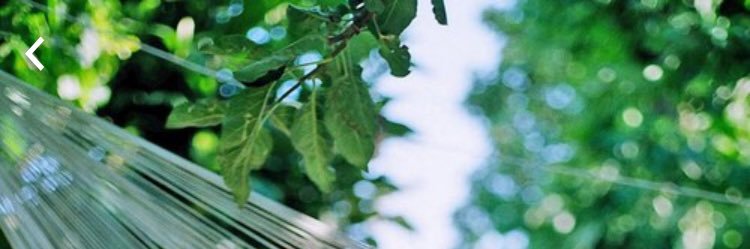 _arwa12's profile banner image