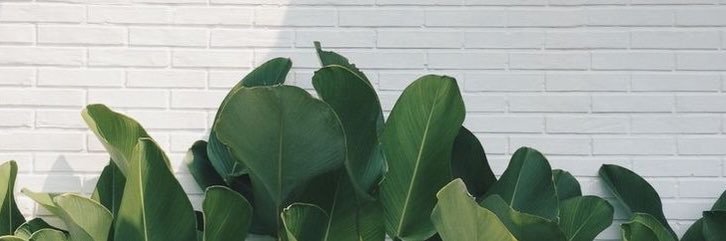 _SarahMoore_'s profile banner image
