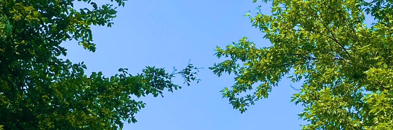 mostachloe banner