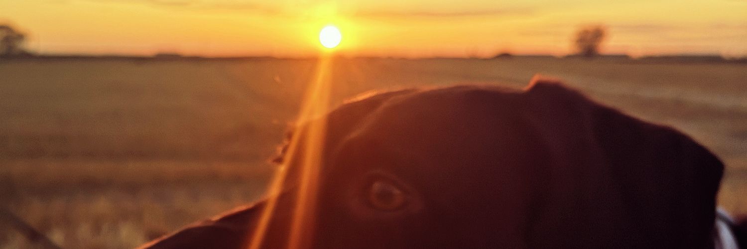 aLiiest8's profile banner image