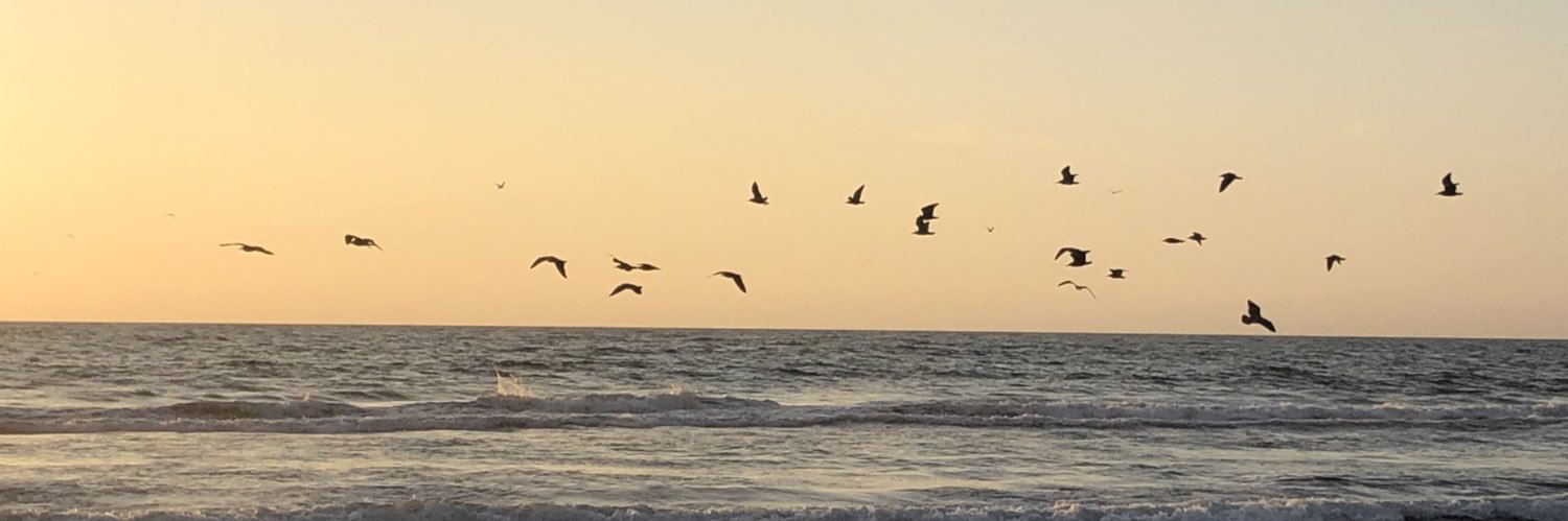 Alezunigaperez's profile banner image