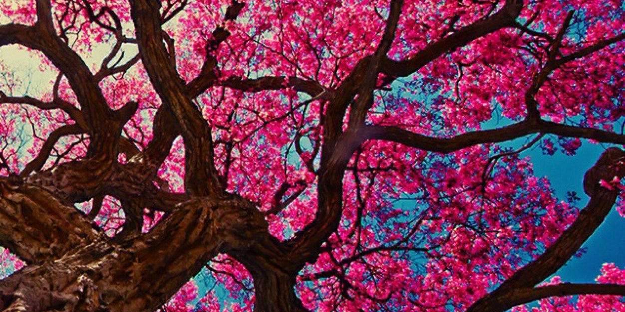 TaylorLaur's profile banner image