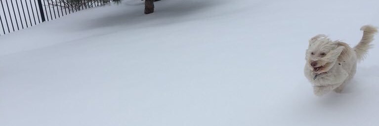 Bella Iversen banner