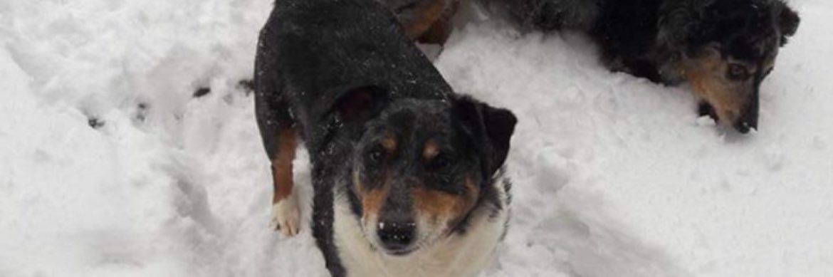 Rhys Fields 🏴󠁧󠁢󠁷󠁬󠁳󠁿 banner