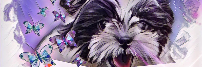мє∂ι 🇵🇷 banner