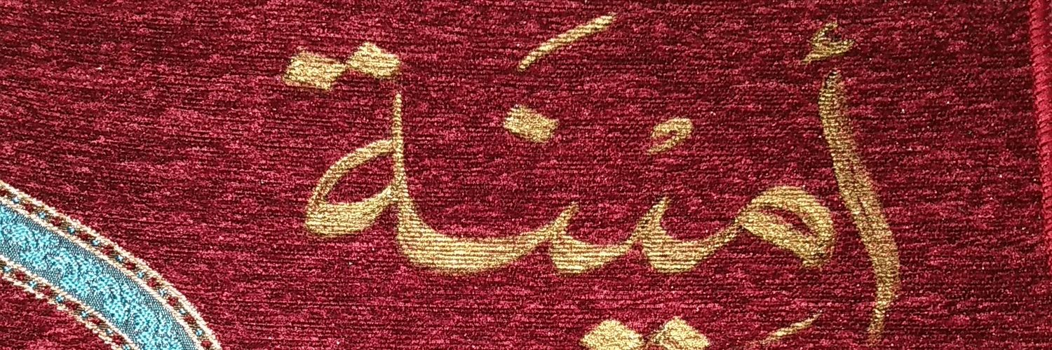 AMBER banner
