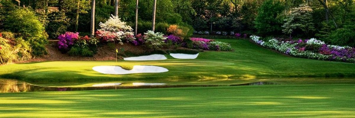 snuggster.eth 🍌🦍 banner