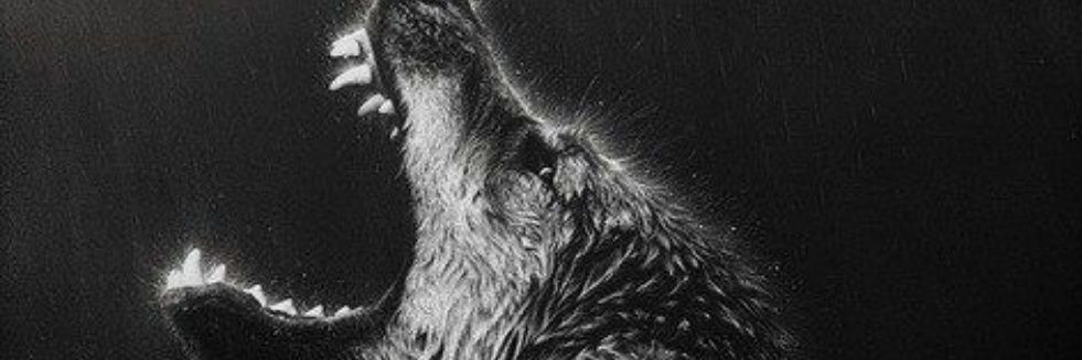 RaulValentin6's profile banner image