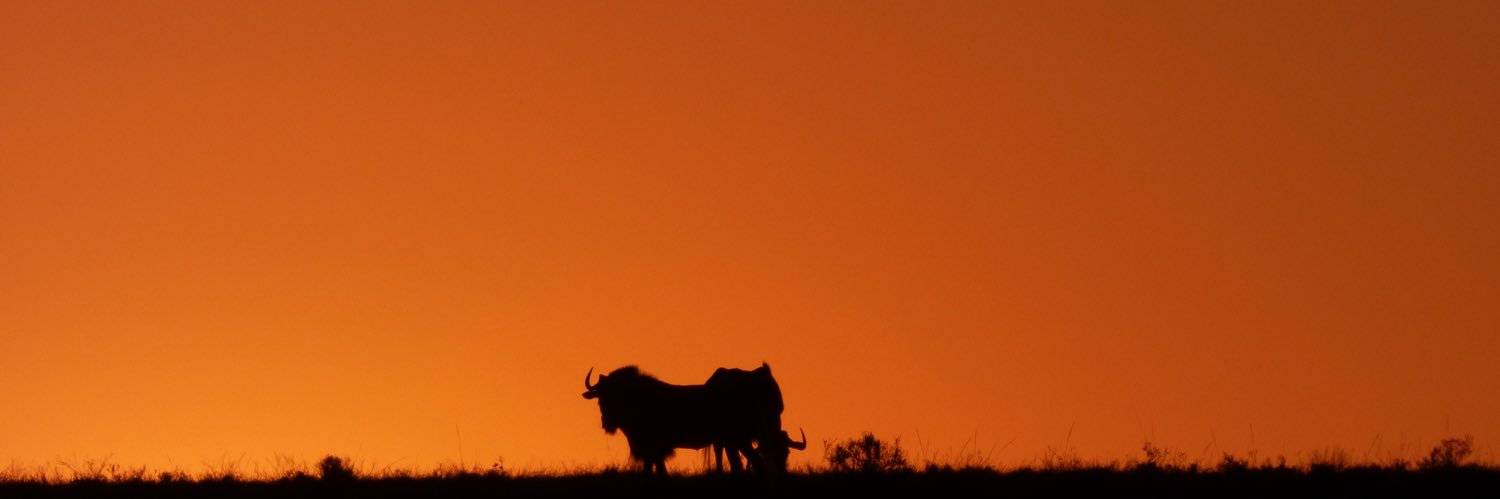 bodster40's profile banner image