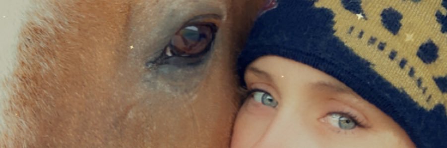 Hayleawright's profile banner image