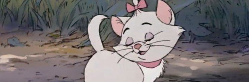aalisennnn's profile banner image