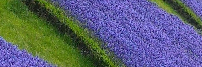 a_solmaz42's profile banner image