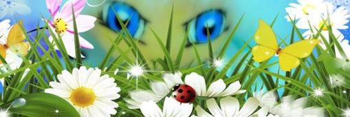 BudsTalk's profile banner image