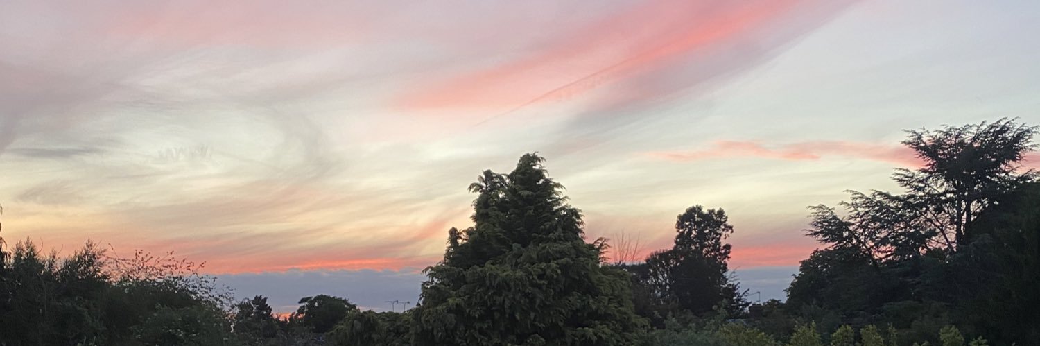 magicstarstho's profile banner image
