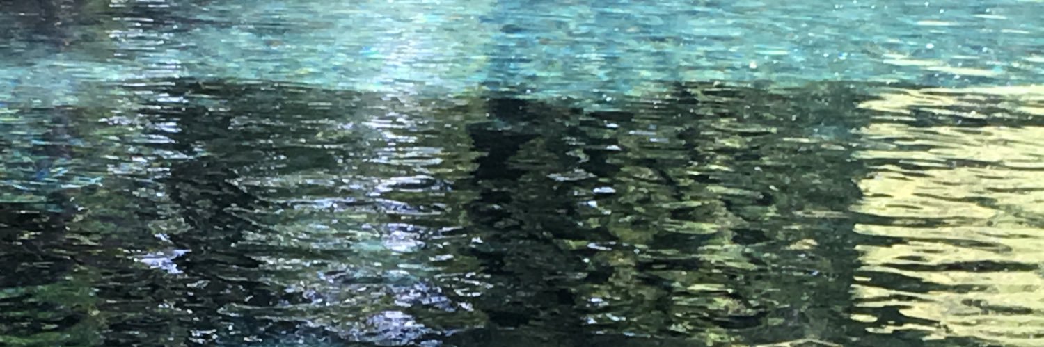 RobertoVillarej's profile banner image