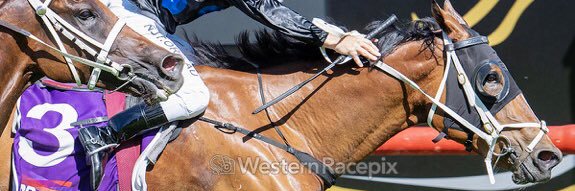 RangeviewStud's profile banner image