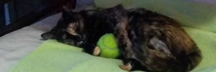 F4CUNDO L4GOS banner
