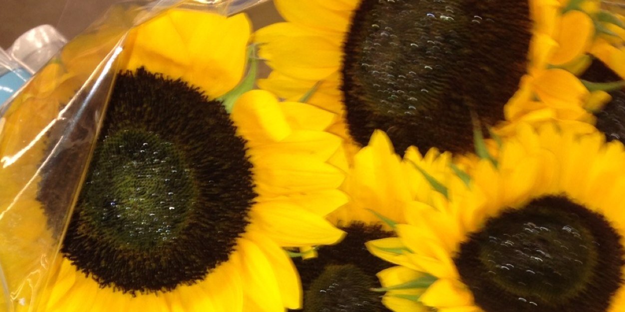 LoMiz's profile banner image