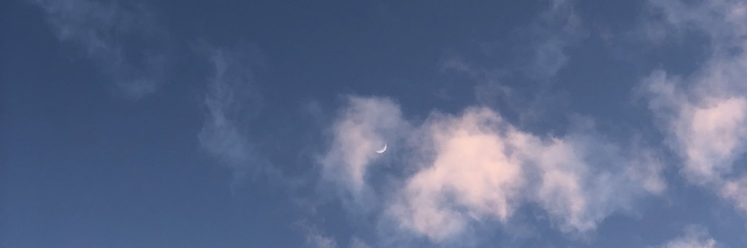 cece_fin's profile banner image