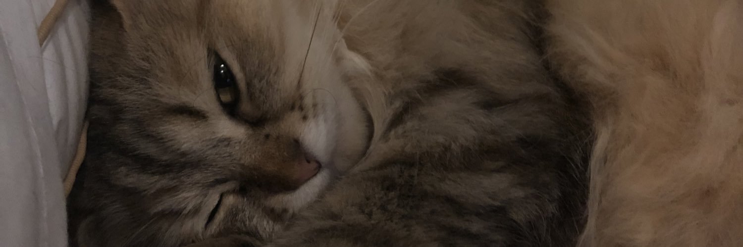 evvthd's profile banner image