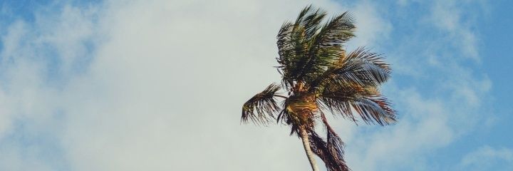 Unpandulcee's profile banner image