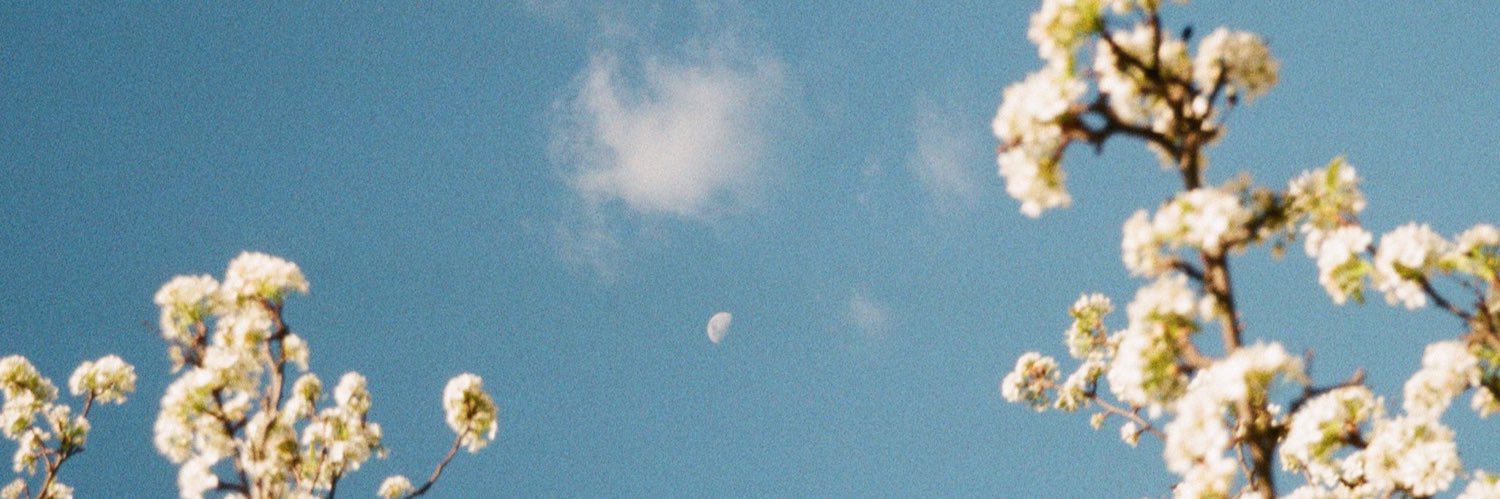 092_Ale's profile banner image