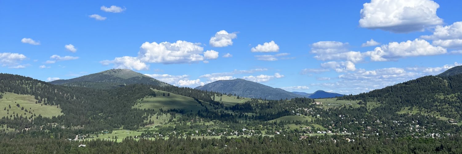 williamsworks banner