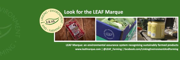 LEAFchief Profile Banner