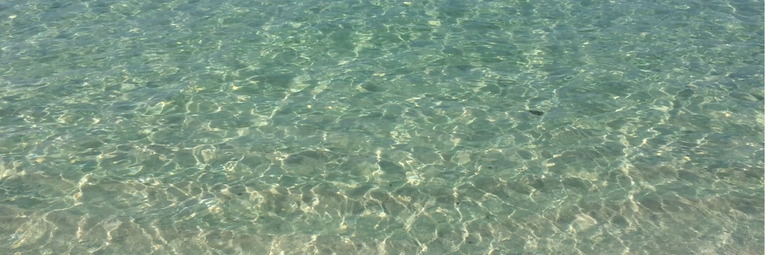 CindyMurray11's profile banner image