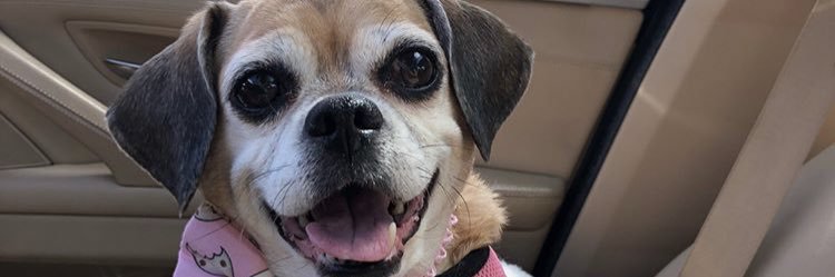 LTwoDtoo's profile banner image