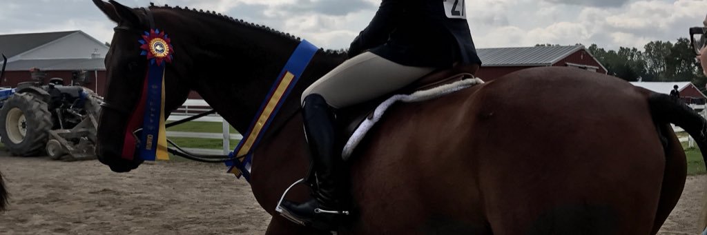 sophiawettle's profile banner image