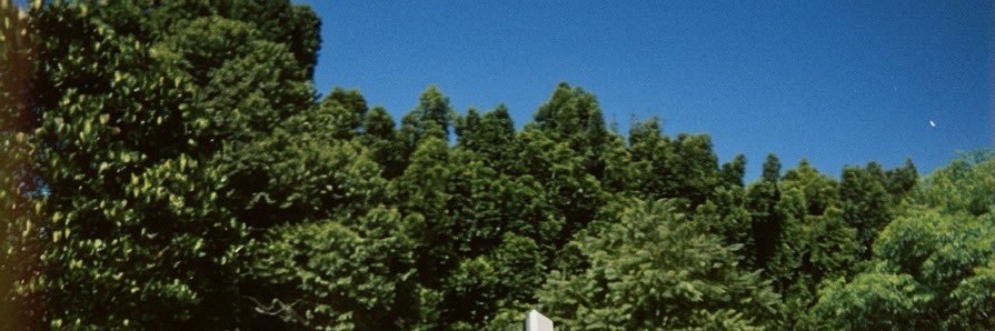 netxie's profile banner image