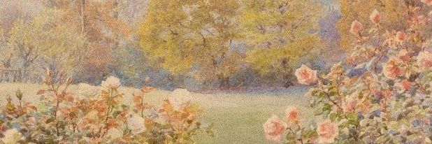 lesmght's profile banner image