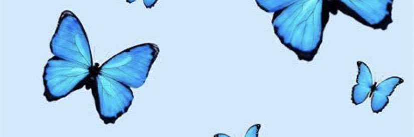 _fineassteaa's profile banner image