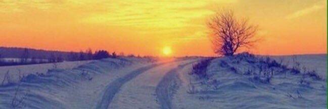 554_zzz's profile banner image