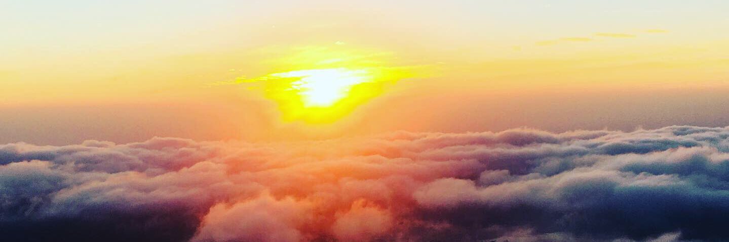 Deirdre Moore banner