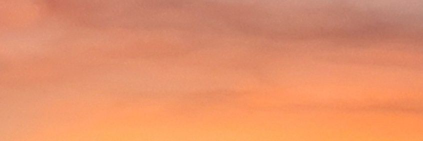 𝐁𝐞𝐥𝐥𝐞 banner