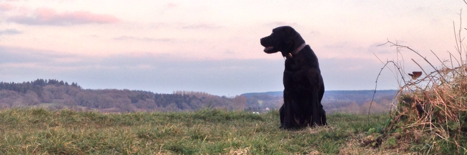 chris_truman's profile banner image