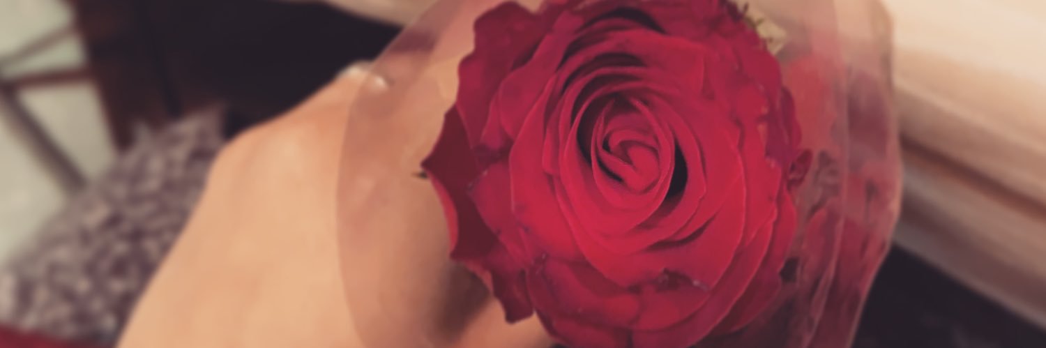Nourah_MA's profile banner image