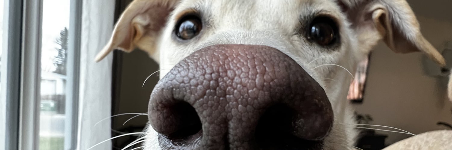 ColtonPillar's profile banner image