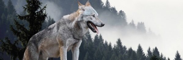 Karim94_PLR's profile banner image