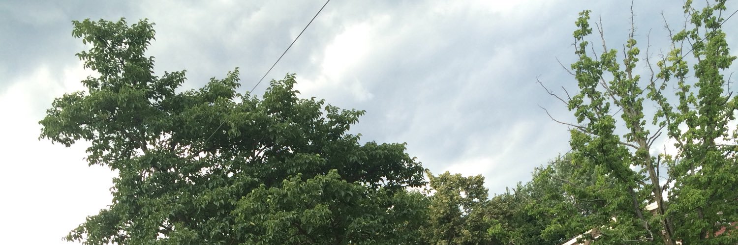 Village_Champ's profile banner image
