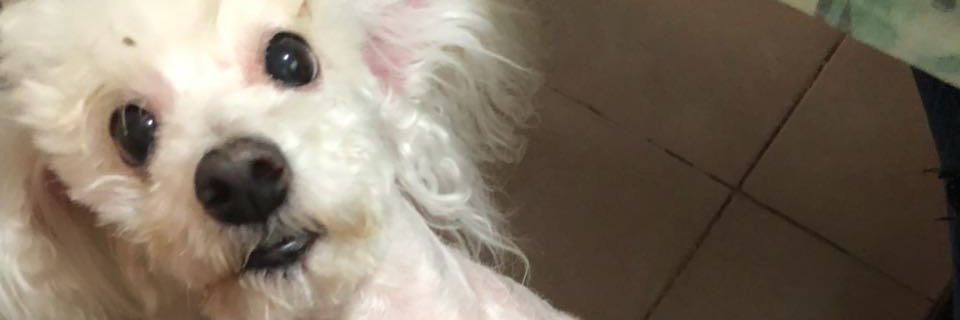 CaroMamprin's profile banner image