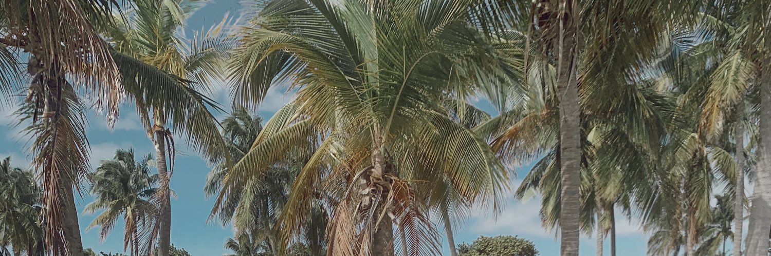 VicChavanne's profile banner image