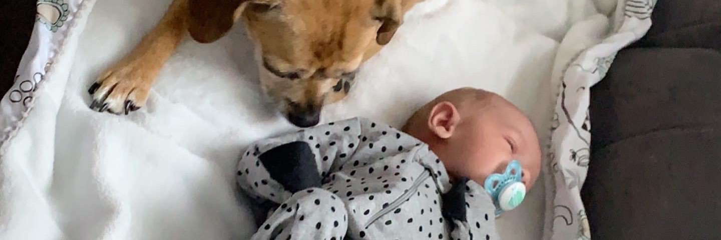 LindseyKloss's profile banner image