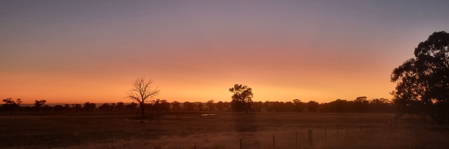 waljasper's profile banner image